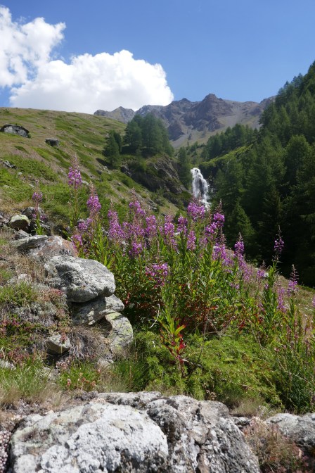 2020-08-04 - Aoste - Brigitte